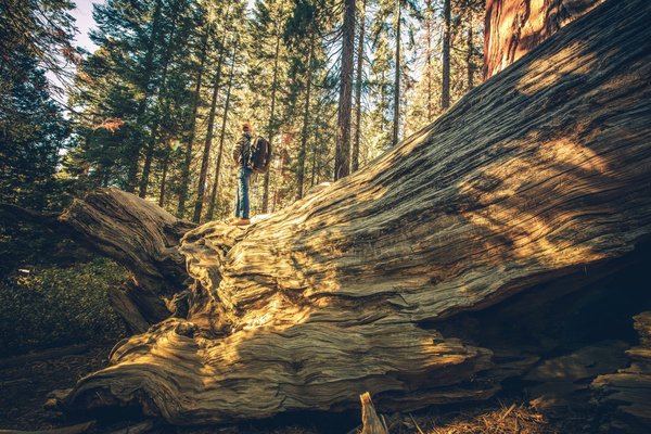 Comment planifier une exploration des temples mayas au Yucatan, Mexique ?